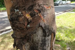 WhatsApp Image 2026-02-04 at 15.42.46