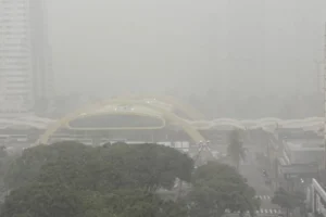 WhatsApp Image 2026-02-04 at 18.50.16