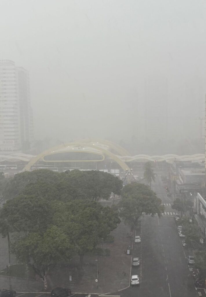 WhatsApp Image 2026-02-04 at 18.50.16