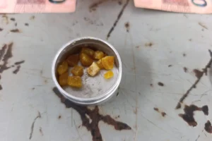 WhatsApp Image 2026-02-06 at 08.56.07