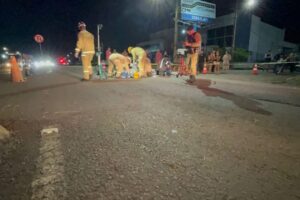 WhatsApp Image 2026-02-06 at 16.55.52