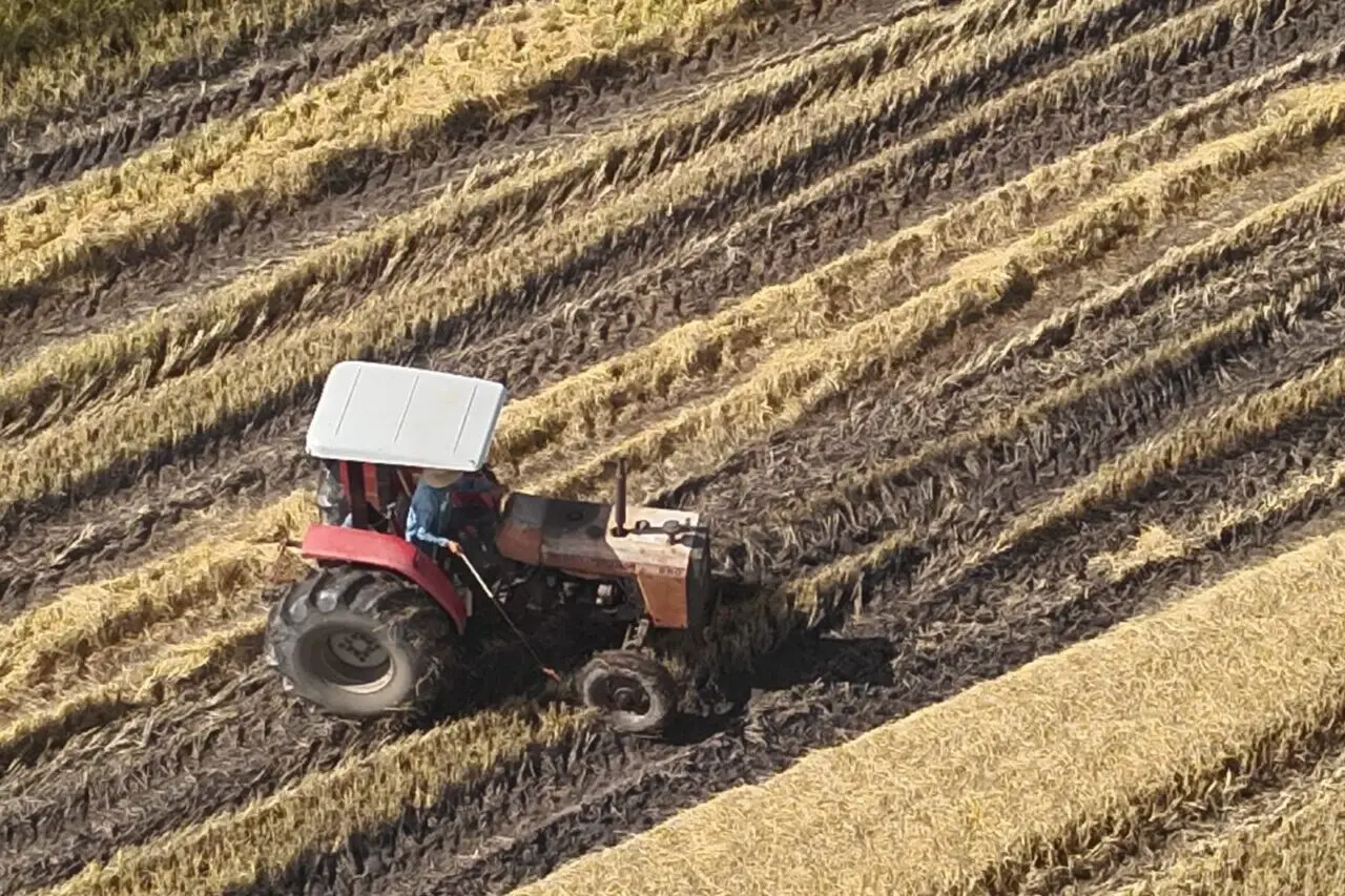 WhatsApp Image 2026-02-09 at 09.43.58