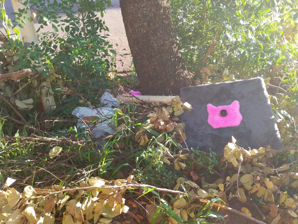 WhatsApp Image 2026-02-12 at 11.36.22 (1)