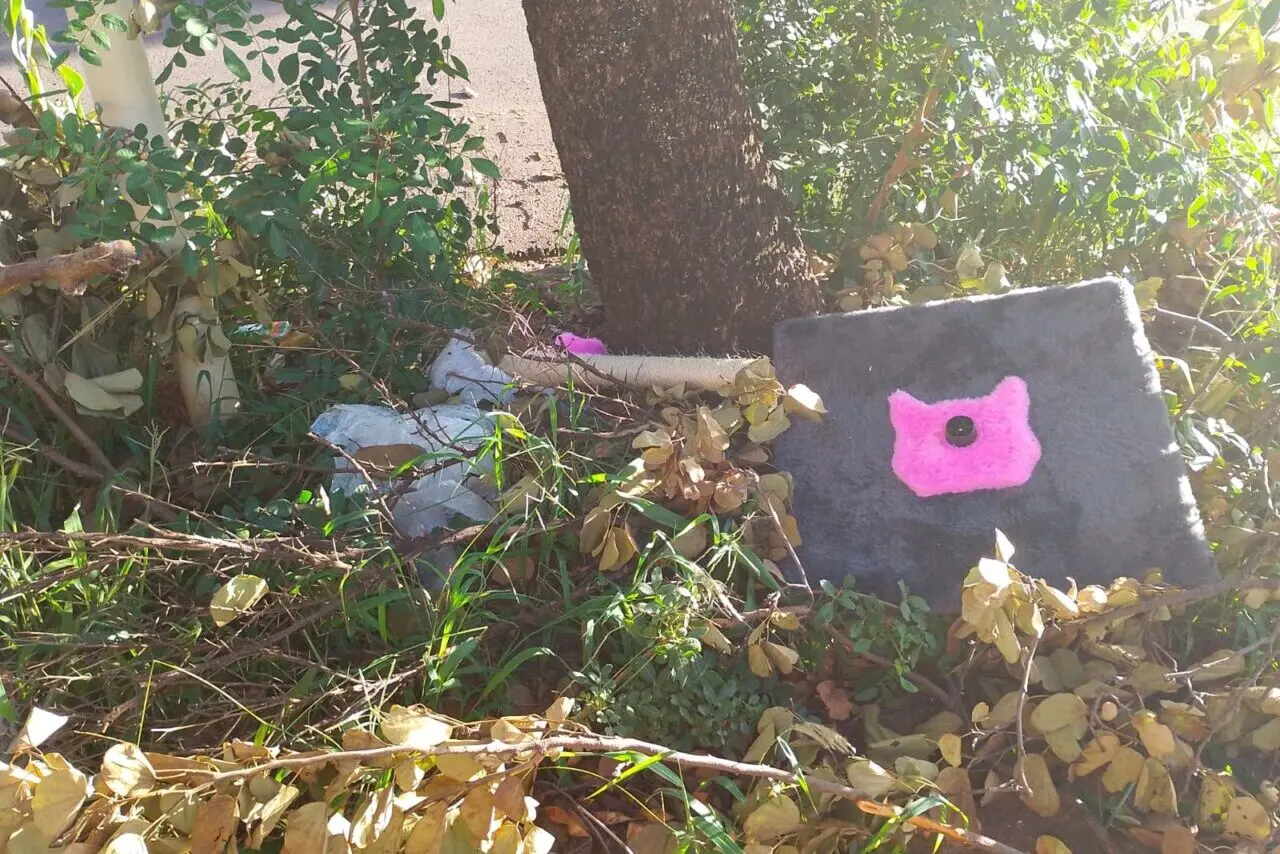 WhatsApp Image 2026-02-12 at 11.36.22 (1)