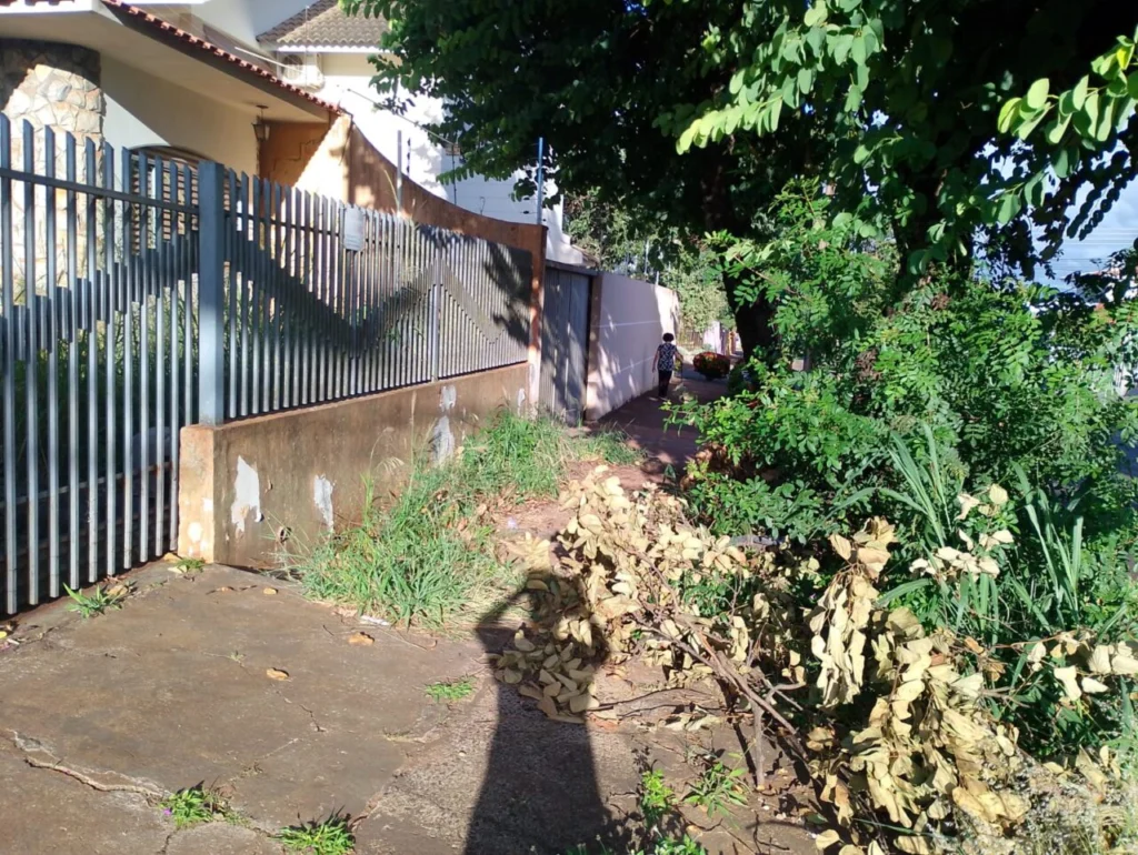 WhatsApp Image 2026-02-12 at 11.36.22