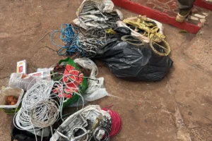 WhatsApp Image 2026-02-12 at 11.48.38