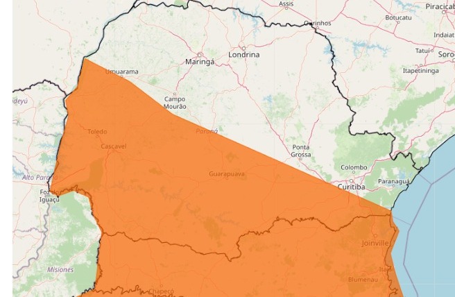 WhatsApp Image 2026-02-12 at 15.45.28