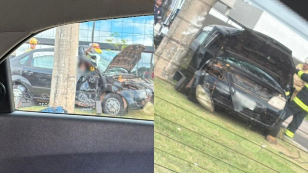 WhatsApp Image 2026-02-12 at 17.58.45