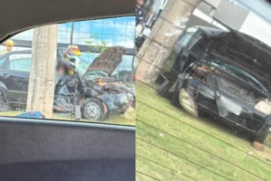 WhatsApp Image 2026-02-12 at 17.58.45