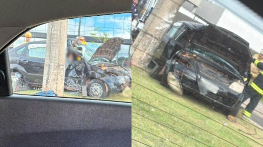 WhatsApp Image 2026-02-12 at 17.58.45