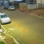 WhatsApp Image 2026-02-13 at 15.29.03