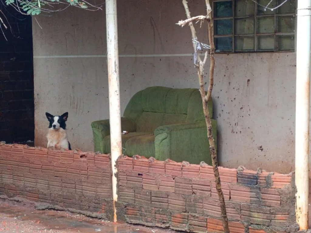 WhatsApp Image 2026-02-14 at 11.17.42 (1)