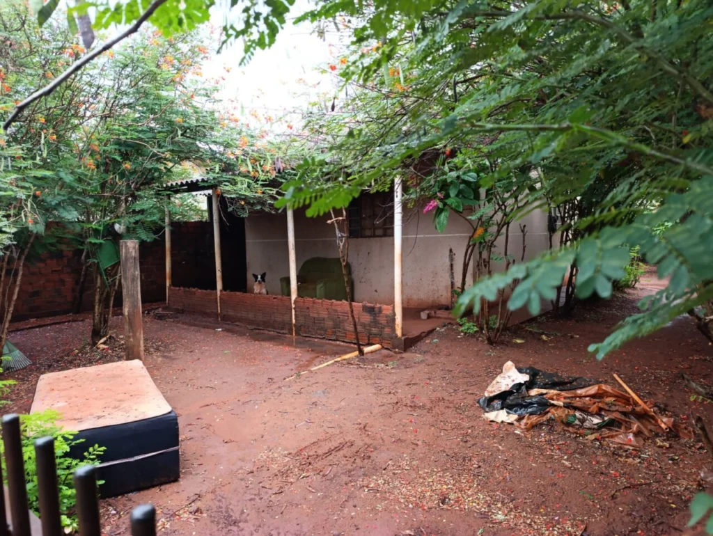 WhatsApp Image 2026-02-14 at 11.17.42 (2)