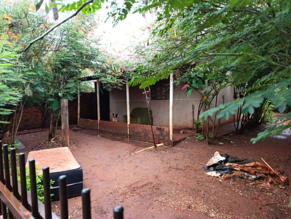 WhatsApp Image 2026-02-14 at 11.17.43 (1)