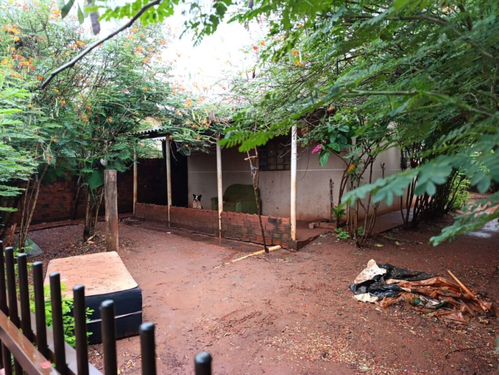 WhatsApp Image 2026-02-14 at 11.17.43 (2)