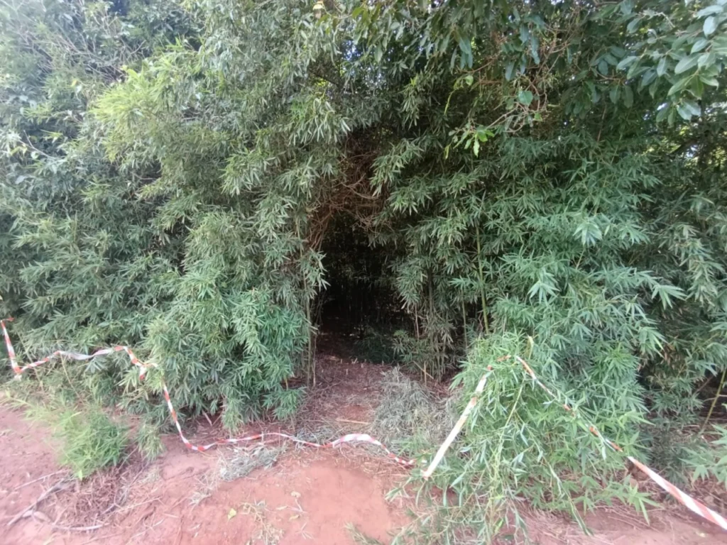 WhatsApp Image 2026-02-16 at 16.12.32