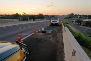 WhatsApp Image 2026-02-17 at 08.34.59