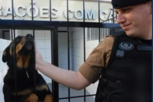 WhatsApp Image 2026-02-18 at 08.12.09