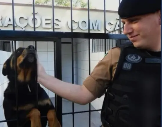 WhatsApp Image 2026-02-18 at 08.12.09