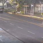 WhatsApp Image 2026-02-18 at 17.44.51