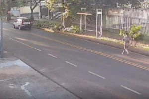 WhatsApp Image 2026-02-18 at 17.44.51