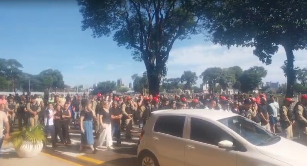 WhatsApp Image 2026-02-19 at 11.34.02