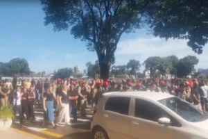 WhatsApp Image 2026-02-19 at 11.34.02