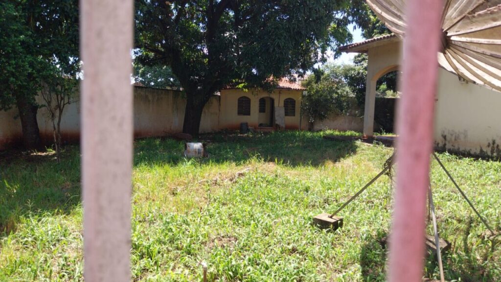 WhatsApp Image 2026-02-19 at 13.45.48