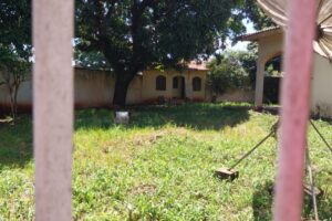 WhatsApp Image 2026-02-19 at 13.45.48