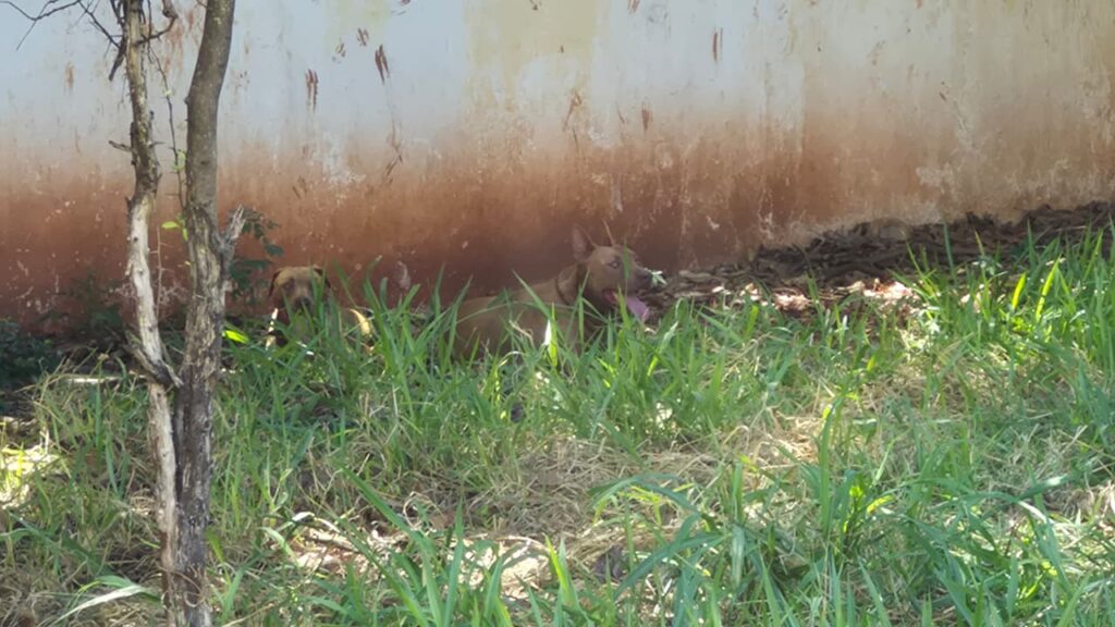 WhatsApp Image 2026-02-19 at 15.28.45