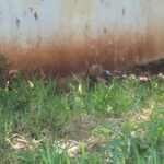 WhatsApp Image 2026-02-19 at 15.28.45