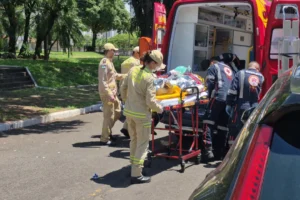 WhatsApp Image 2026-02-19 at 15.28.47