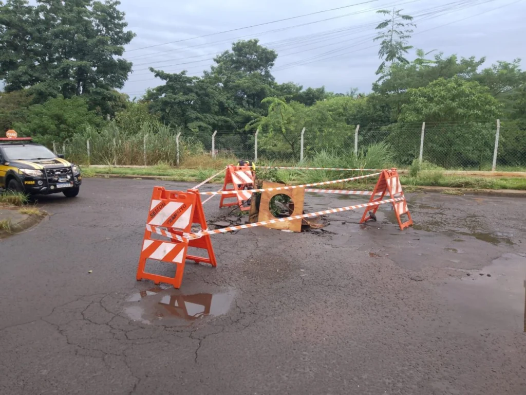 WhatsApp Image 2026-02-20 at 16.06.55