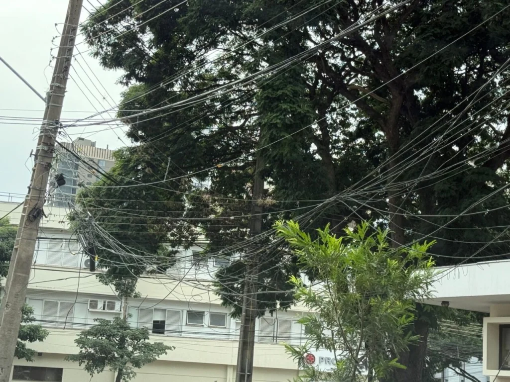 WhatsApp Image 2026-02-23 at 09.11.16 (1)