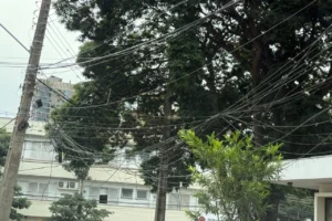 WhatsApp Image 2026-02-23 at 09.11.16 (1)