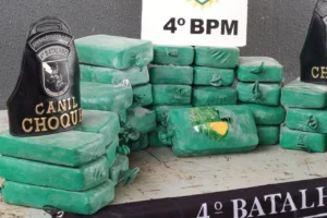 WhatsApp Image 2026-02-23 at 16.15.31