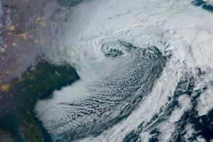 WhatsApp Image 2026-02-24 at 08.40.52