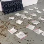 WhatsApp Image 2026-02-25 at 15.44.51