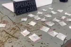 WhatsApp Image 2026-02-25 at 15.44.51