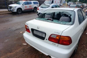 WhatsApp Image 2026-02-25 at 18.45.53