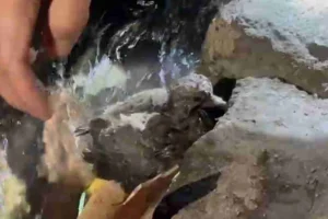 WhatsApp Image 2026-02-26 at 07.13.10