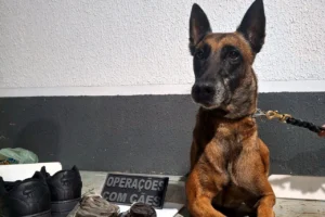 WhatsApp Image 2026-02-26 at 09.03.20