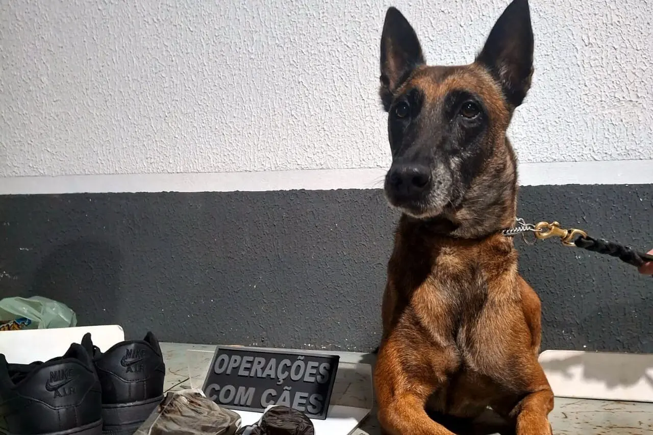 WhatsApp Image 2026-02-26 at 09.03.20