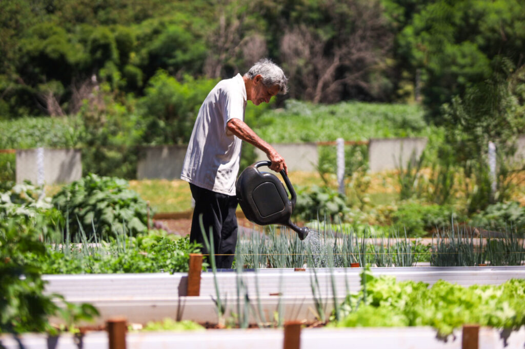 d2fc1772-36af-44d5-9184-b4bda26b94f2