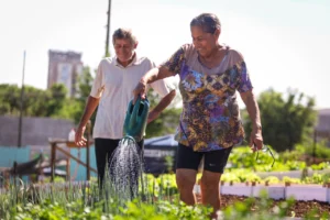 f9cc0af9-a7af-4ffe-87b2-8651815db477