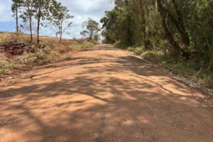 pr-436_em_ibaiti_007