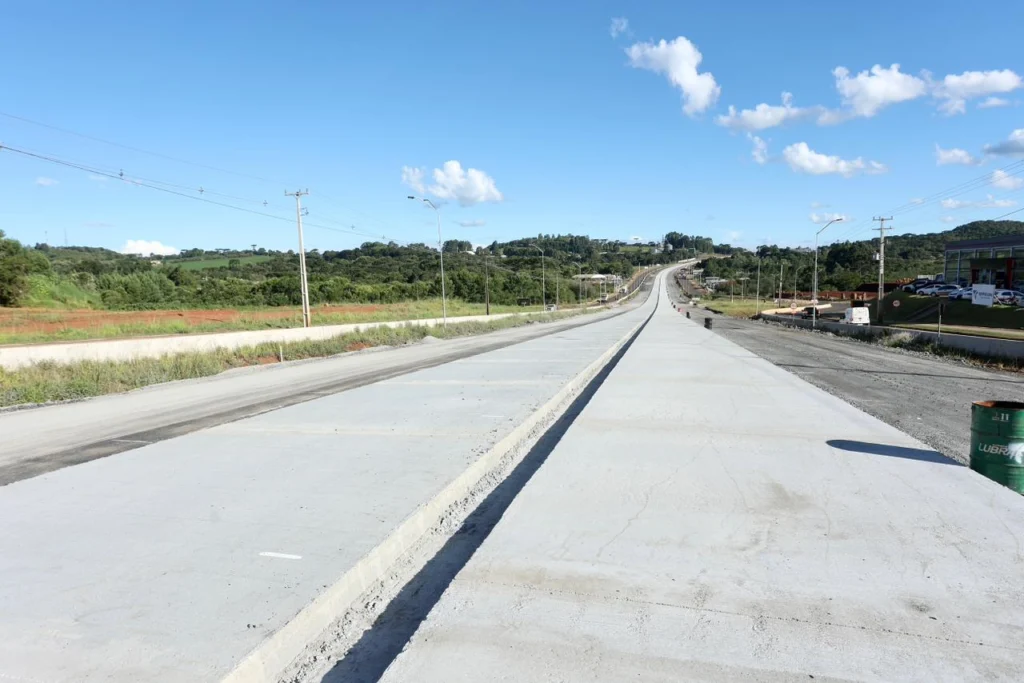 prc-466_pitanga_a_turvo_15_-_rodrigo_felix_leal_003