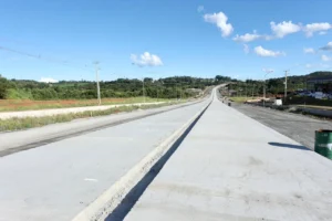 prc-466_pitanga_a_turvo_15_-_rodrigo_felix_leal_003