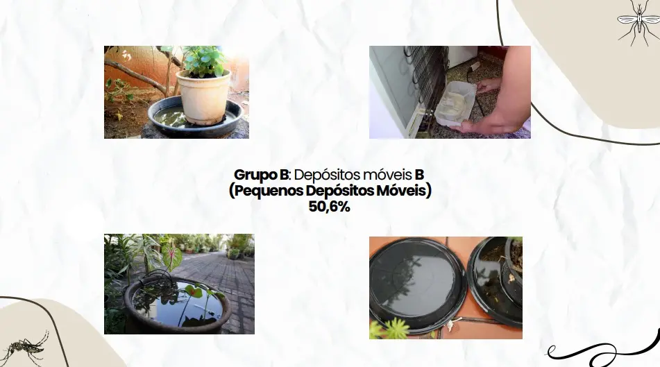 principais criatórios