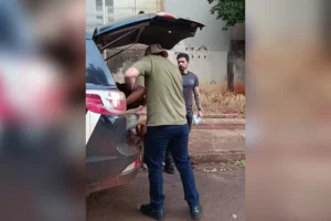 whatsapp-image-2026-02-17-at-151216_3x2